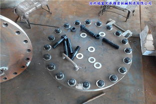 沧州瑞富兄弟公司 专业制造平焊法兰水平吊盖人孔及农林牧渔机械配件