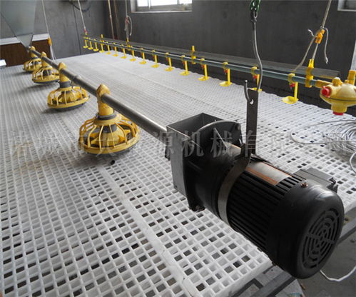 诸城大牧源机械 养鸡自动化养殖设备型号及农林牧渔机械配件制造解析